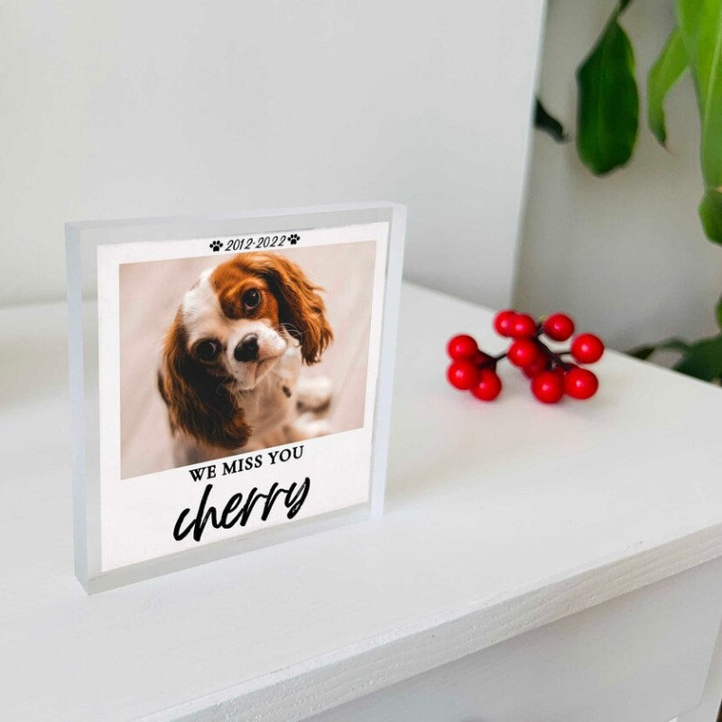 Custom Pet Memorial Photo Plaque